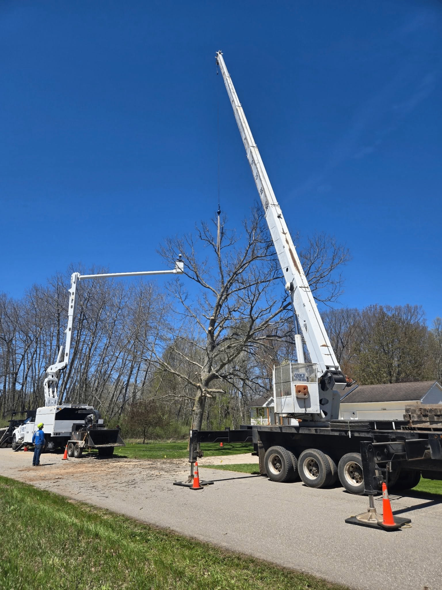 Cook's Tree Service crane extended over 80 feet removing a large tree in Mecosta, Michigan